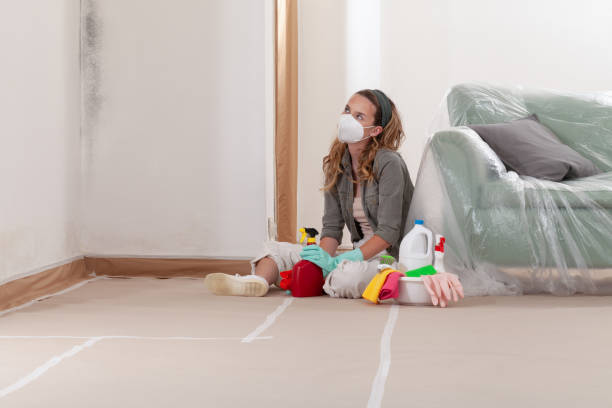 Reliable Mold Remediation contractor in Tarpon Springs, FL by WQB Mold Removal
